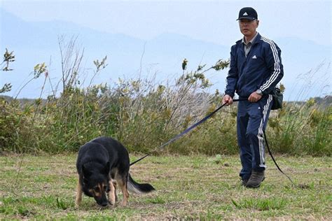 狗狗頭|属託警察犬出動! 認知症の行方不明者発見へ 訓練に励む7頭 長崎